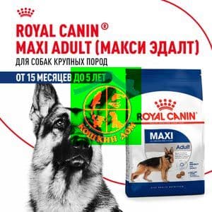 Royal Canin Maxi Adult