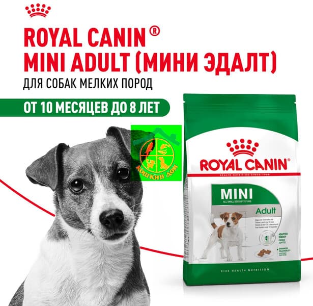 Royal Canin Mini Adult